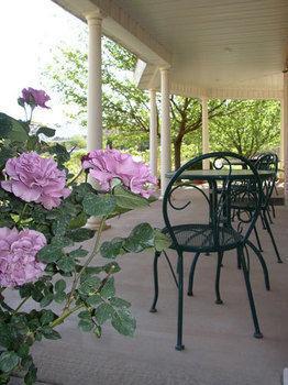 Novel House Bed & Breakfast